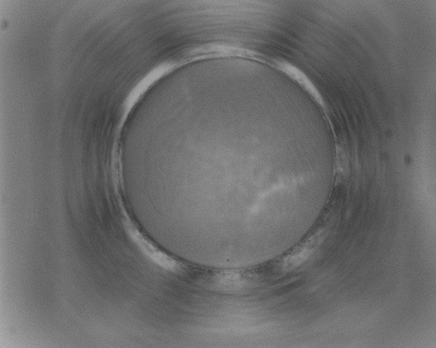 X0000075811098200610061725