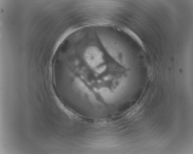 X0000075811099200610061725