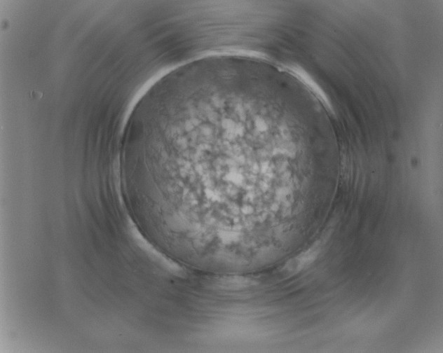 X0000075811100200610061725