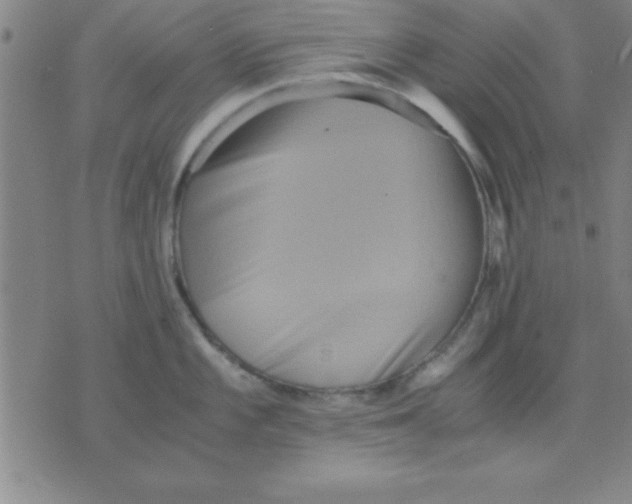 X0000075811101200610061725