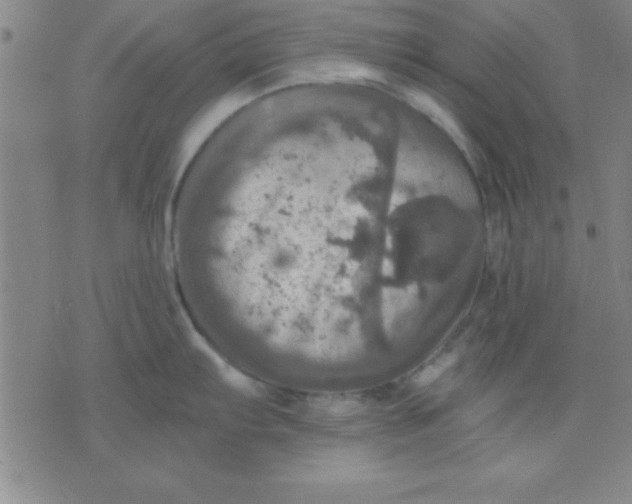 X0000075811103200610061725