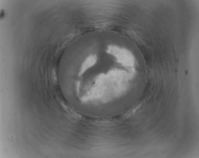 X0000075811106200610061724