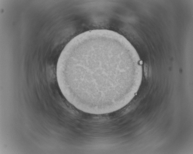 X0000075811107200610061725