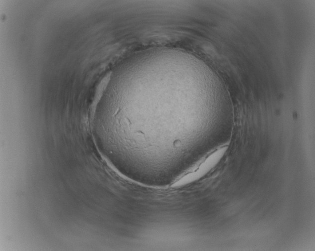 X0000075811109200610061725