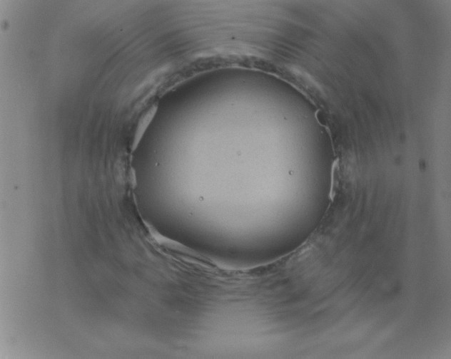 X0000075811110200610061725