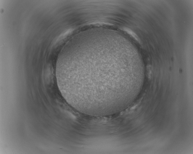 X0000075811111200610061725