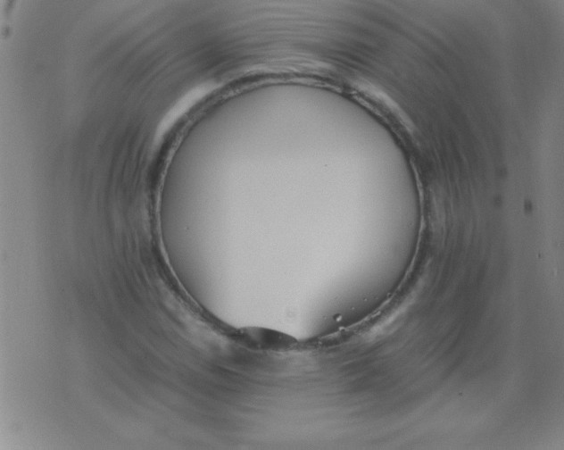 X0000075811114200610061725