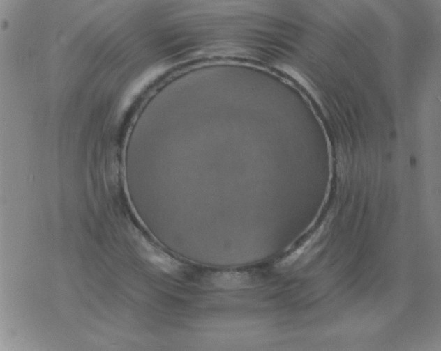 X0000075811115200610061725