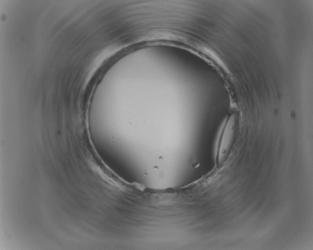 X0000075811116200610061725