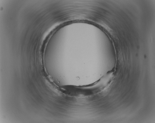 X0000075811118200610061725