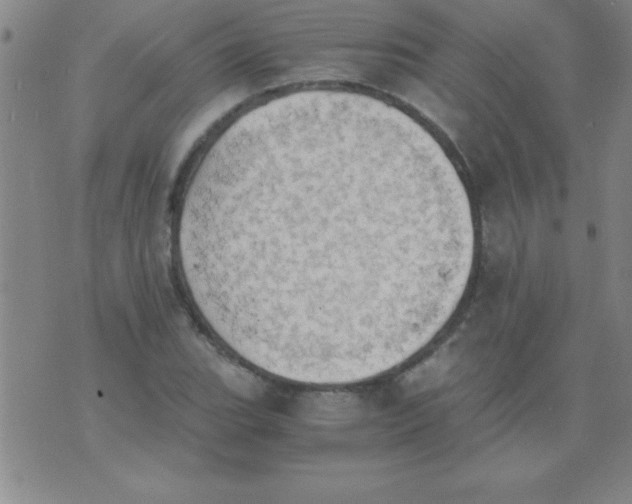 X0000075811119200610061725