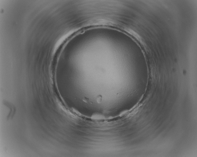 X0000075811120200610061725