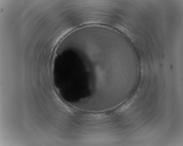 X0000075811121200610061725