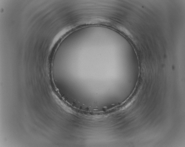 X0000075811122200610061725