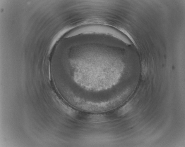 X0000075811123200610061725