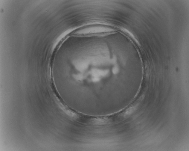 X0000075811125200610061725