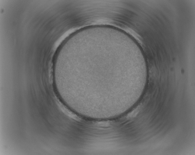 X0000075811126200610061725