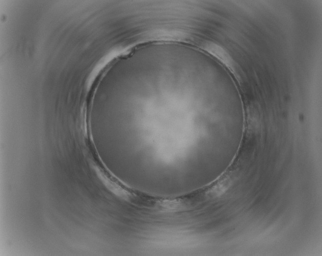 X0000075811128200610061725