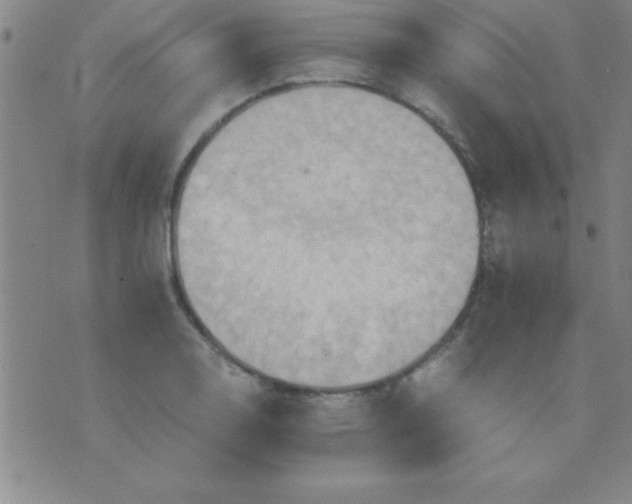 X0000075811130200610061725