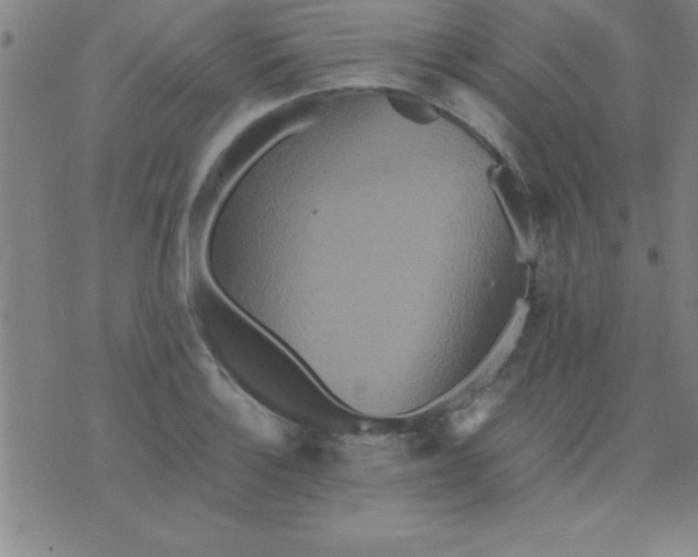 X0000075811132200610061725