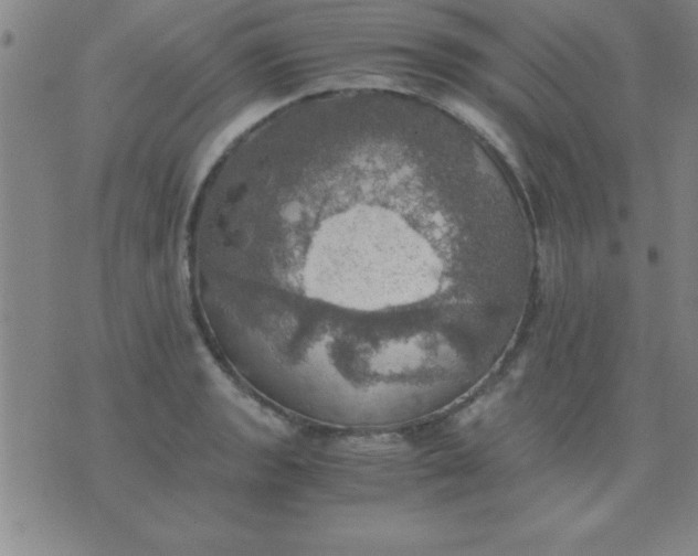 X0000075811133200610061725