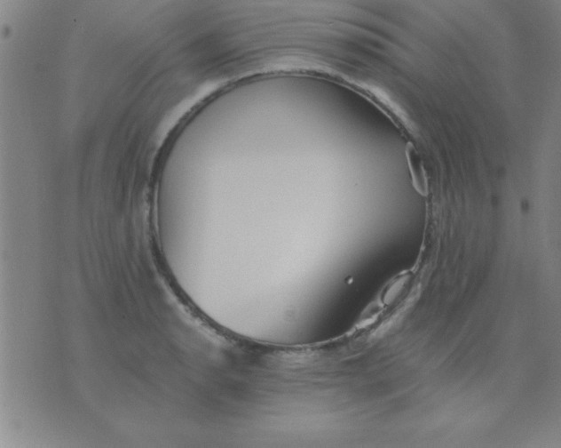 X0000075811134200610061725