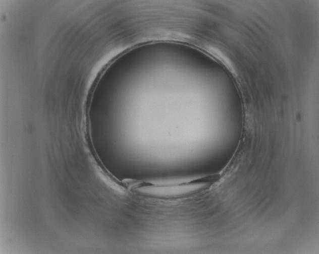 X0000075811136200610061725