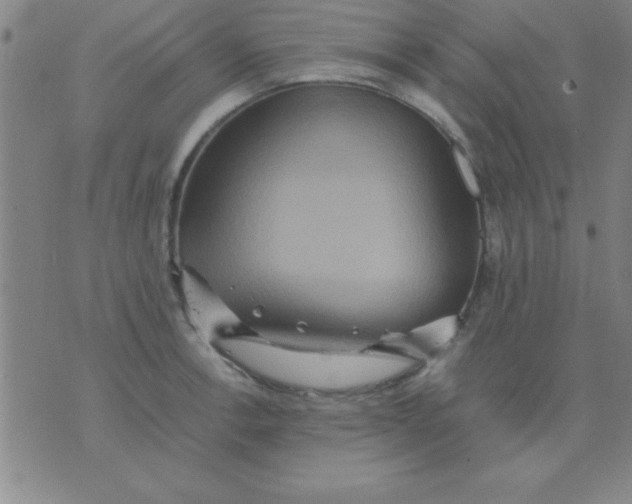 X0000075811138200610061725