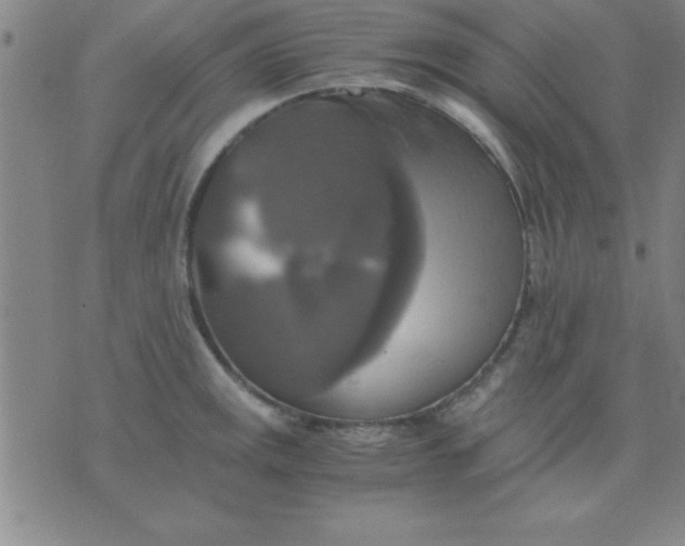 X0000075811141200610061725