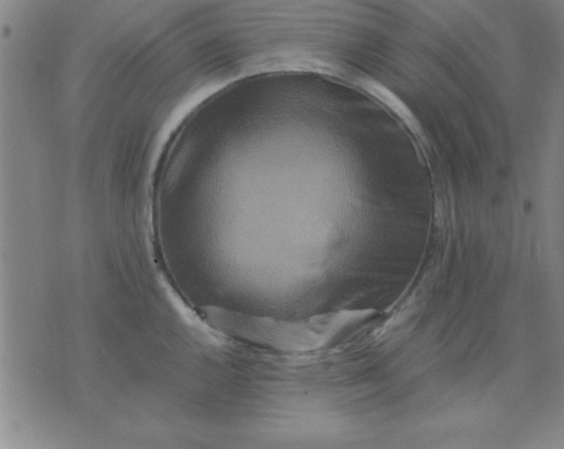 X0000075811144200610061725