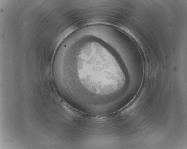 X0000075811145200610061725