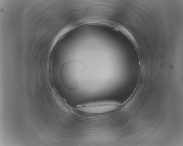 X0000075811146200610061725