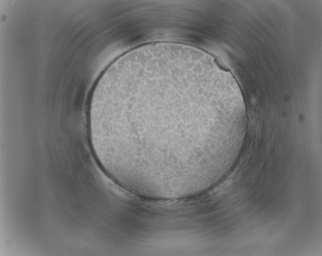 X0000075811147200610061725