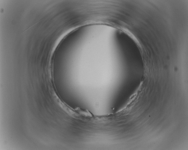 X0000075811148200610061725