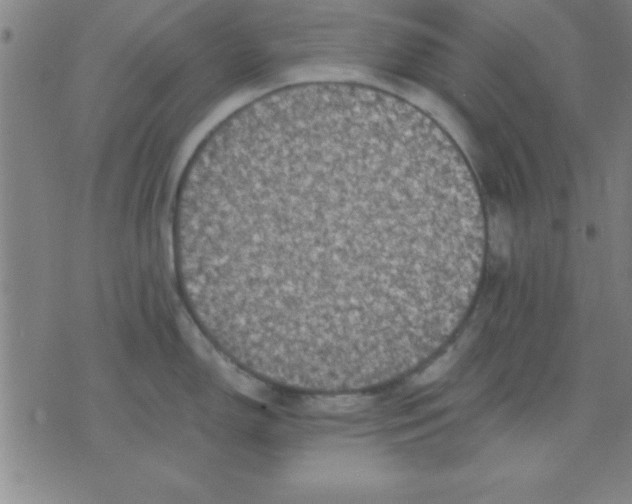 X0000075811150200610061725