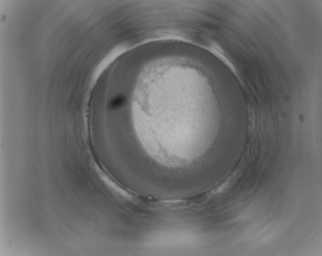 X0000075811151200610061725