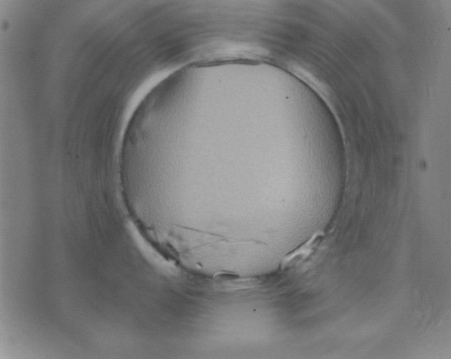 X0000075811152200610061725