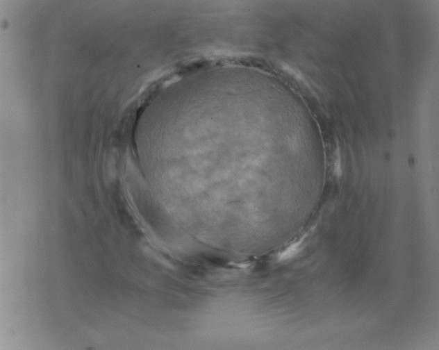 X0000075811157200610061724