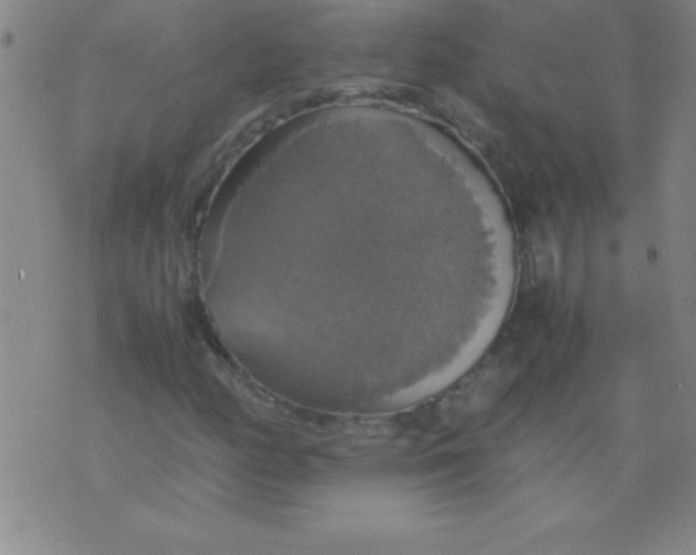 X0000075811158200610061724