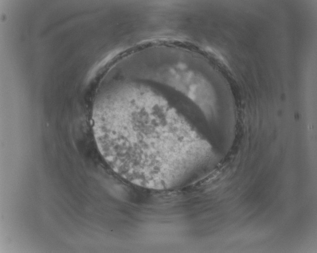 X0000075811159200610061724