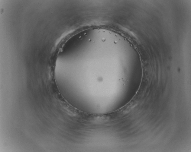 X0000075811160200610061724