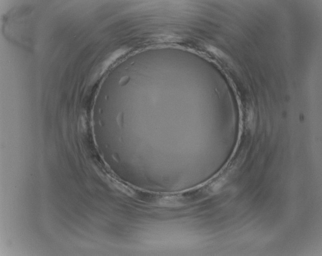 X0000075811161200610061724