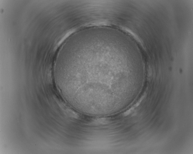 X0000075811162200610061724