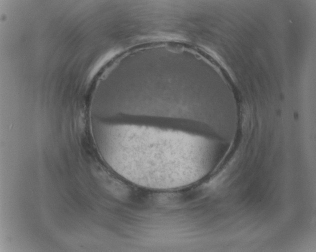 X0000075811163200610061724