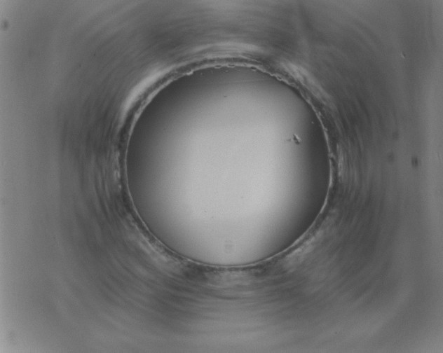 X0000075811164200610061724