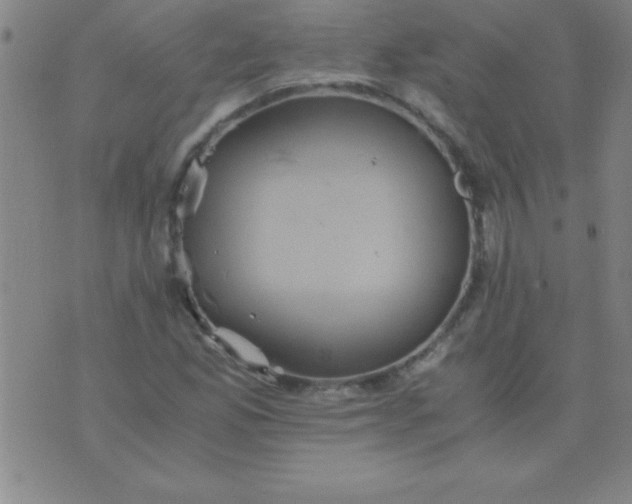 X0000075811165200610061724