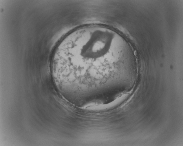 X0000075811167200610061724