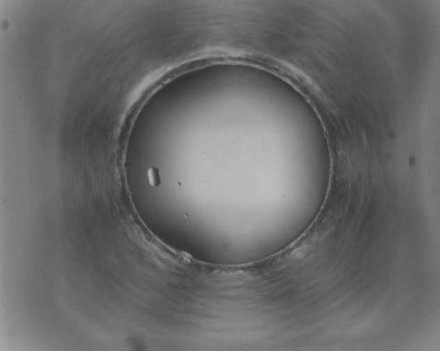 X0000075811168200610061724