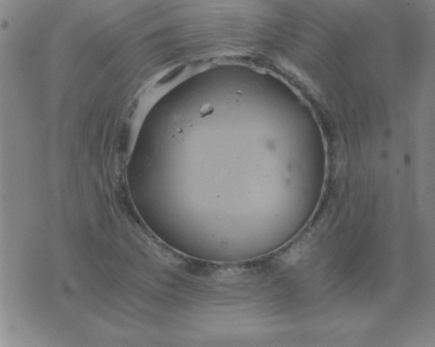 X0000075811169200610061724