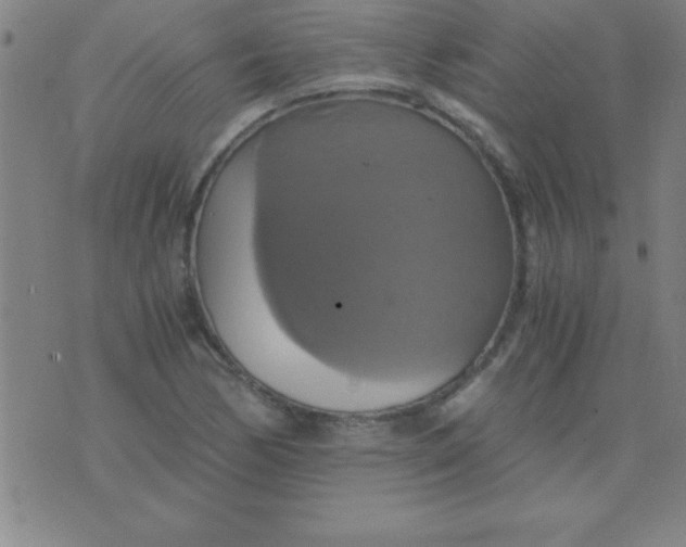 X0000075811170200610061724